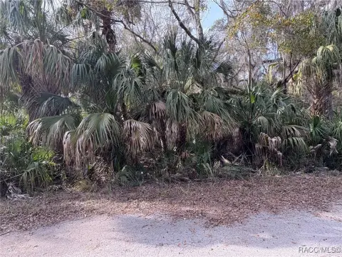 Crystal River Acre Parcel For Sale