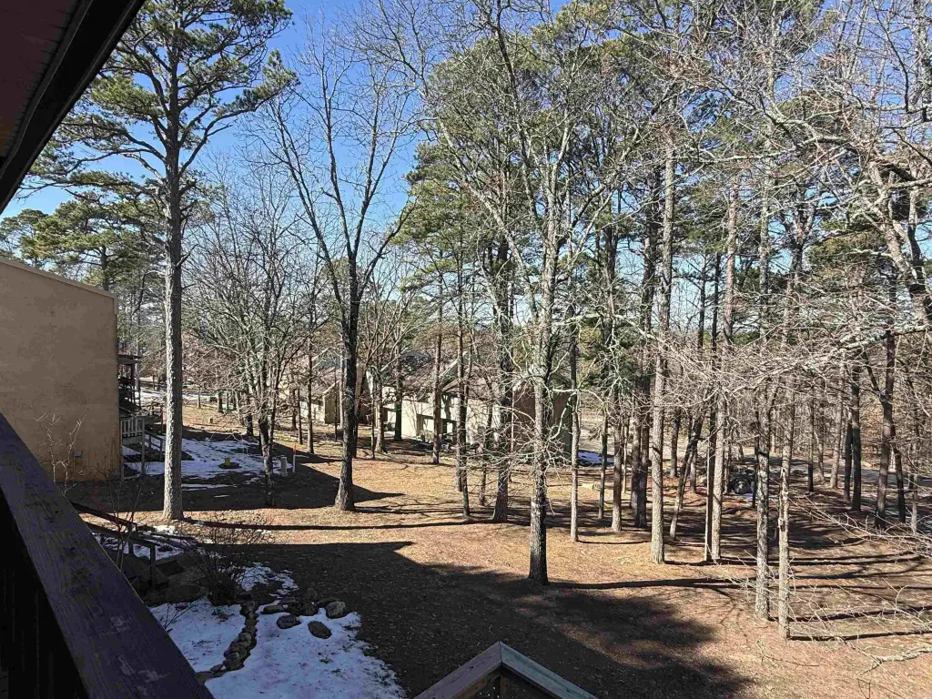 Picture 25