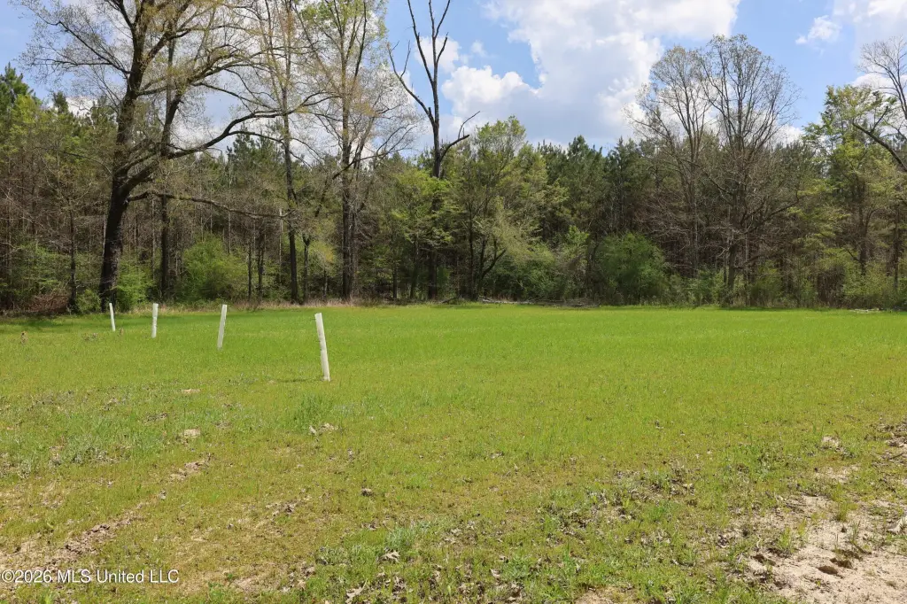 Picture 61