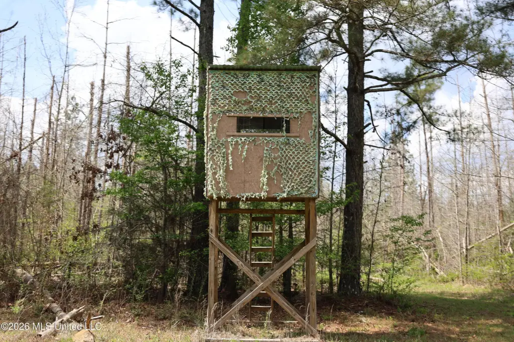 Picture 41