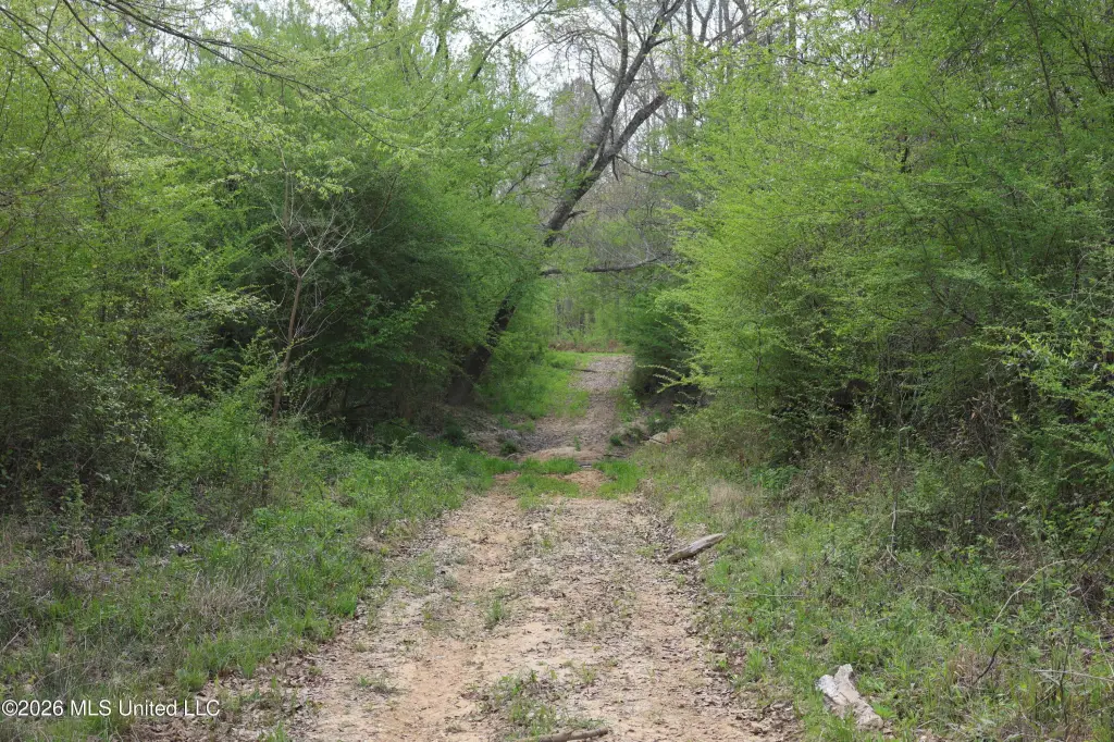 Picture 34