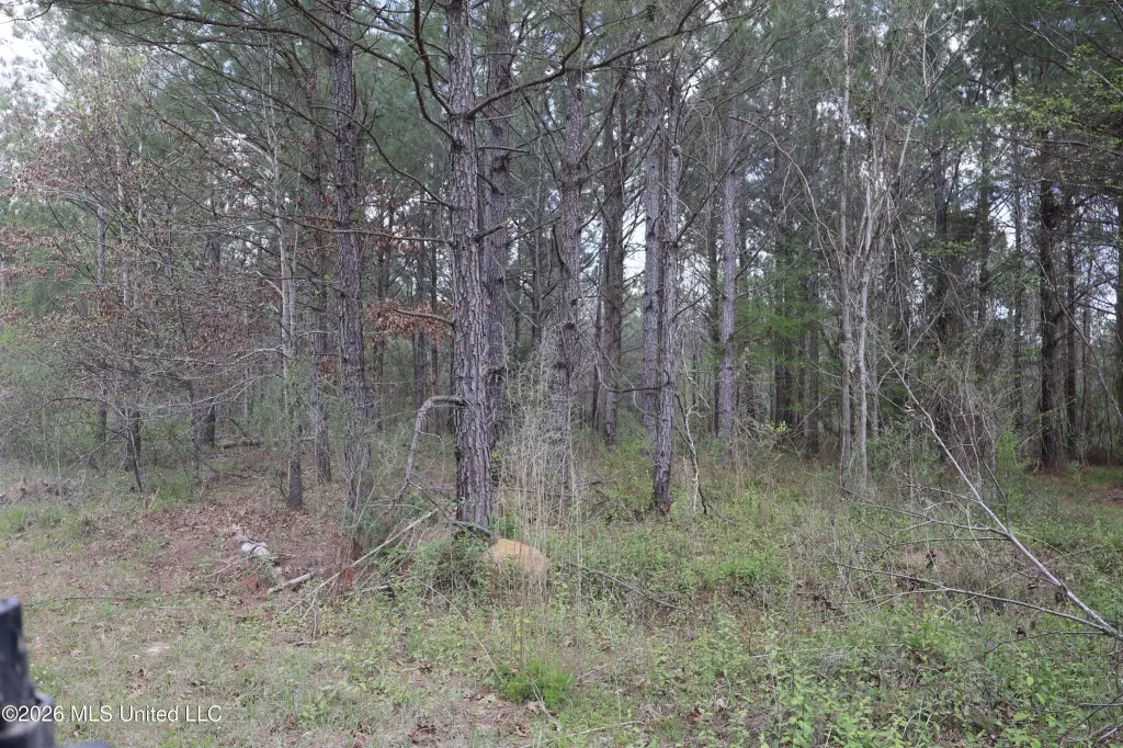 Picture 43