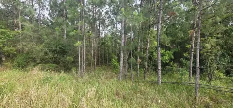 Cottage Hill Road Land Available