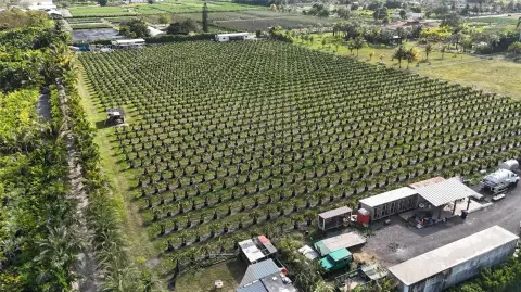 5-Acre Miami Nursery Opportunity