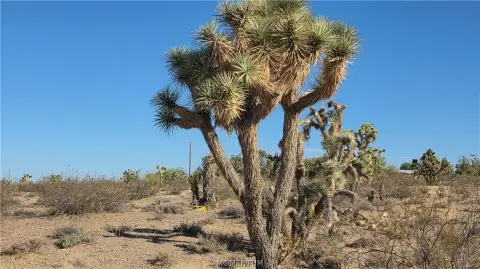 Desert Land Parcel with Utilities