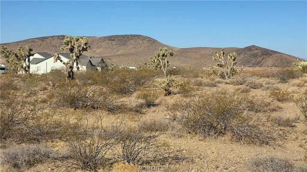 Picture 5
