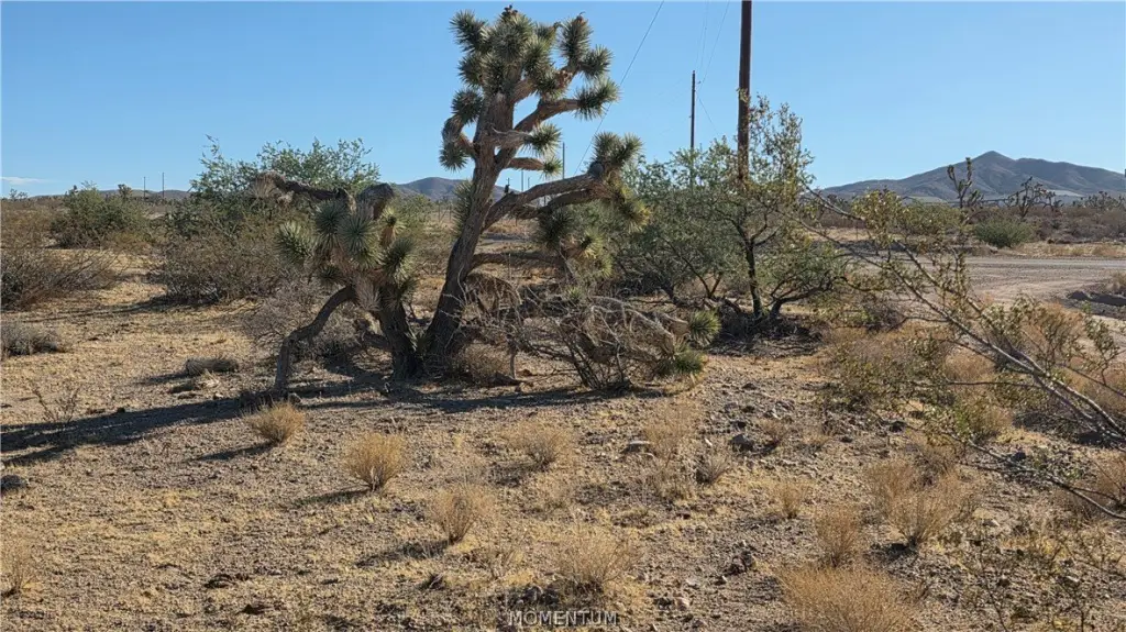 Picture 21
