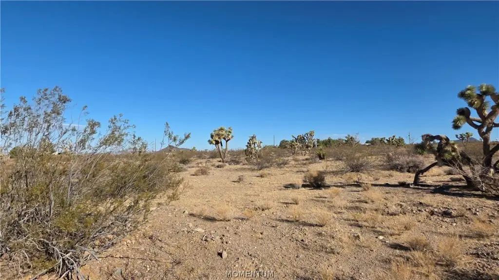 Picture 25