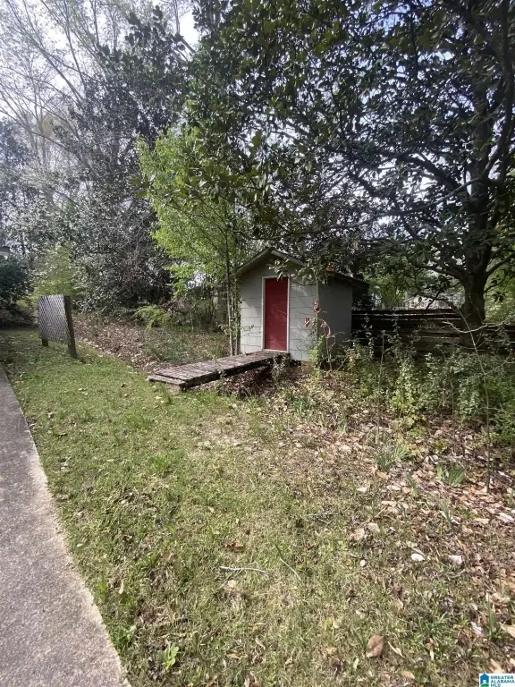 Picture 11