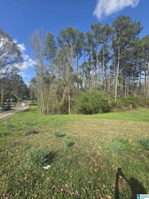Picture 2