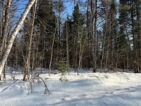 Wooded Lot in Wilde River