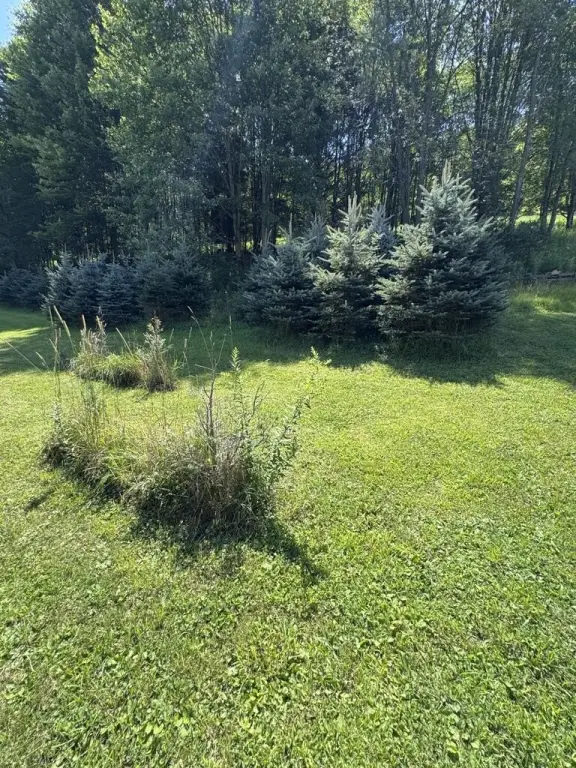 Picture 40