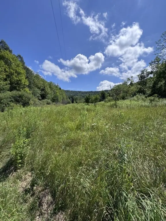 Picture 6