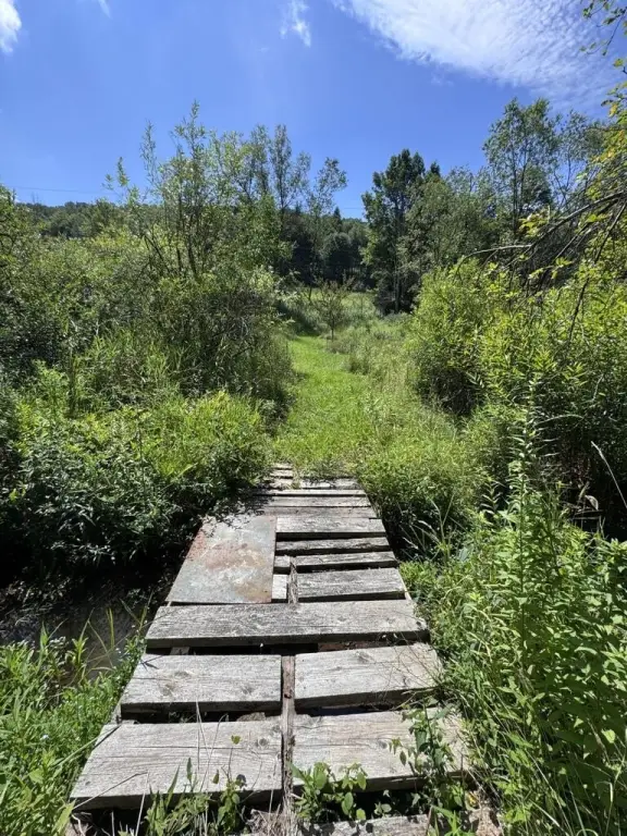 Picture 69