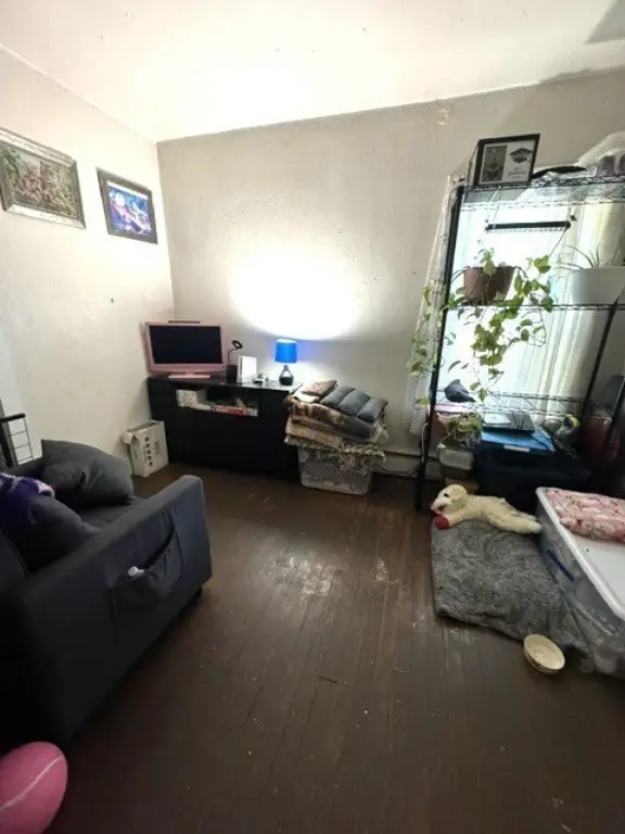 Picture 4