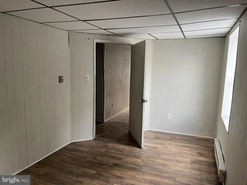 Picture 5