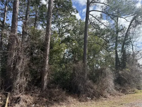 Silver Springs Land For Sale