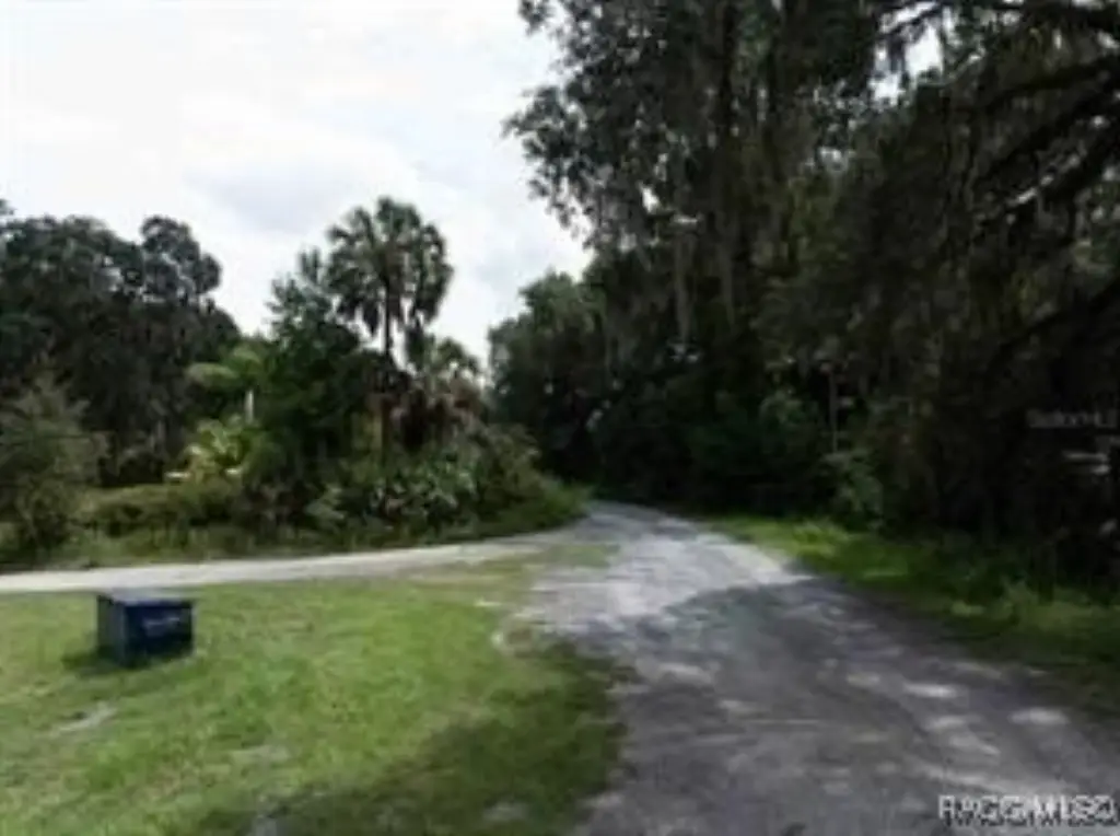 Picture 8