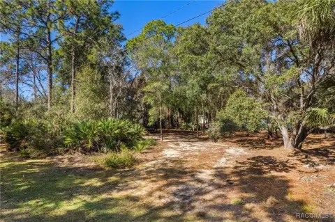 Homosassa Land Ready to Build