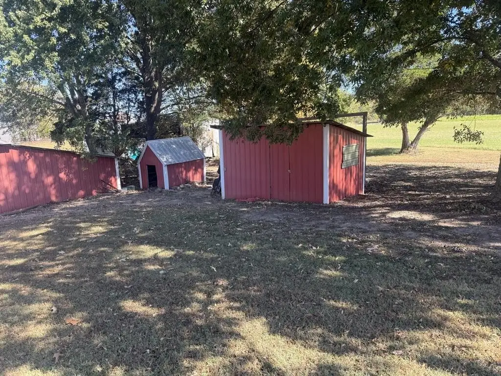Picture 26