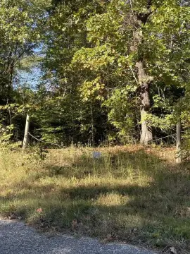 Wooded Hunting Land