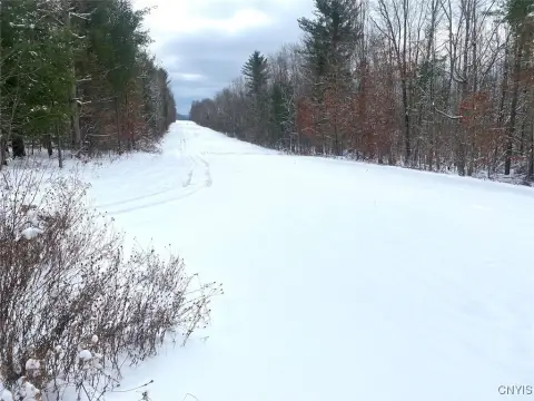 Belmont NY Hunting Recreation Land