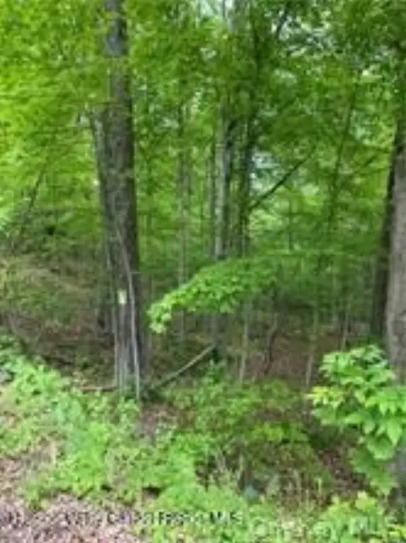 Picture 4