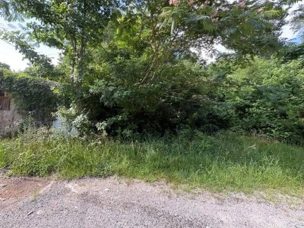 Picture 3