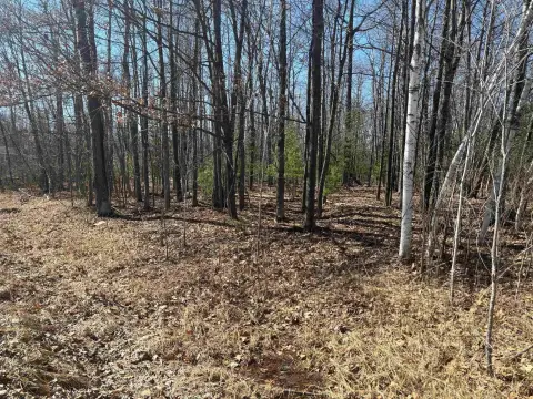 Vacant Land Near Secord Lake