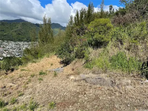 Honolulu Land with View Potential