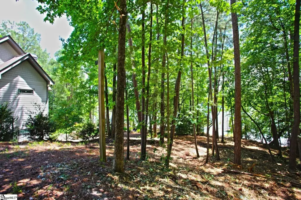 Picture 30