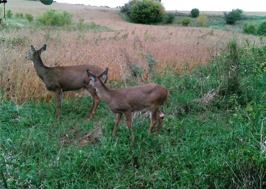 Picture 24