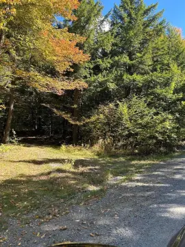 Maine Woods Acreage on Ram Island