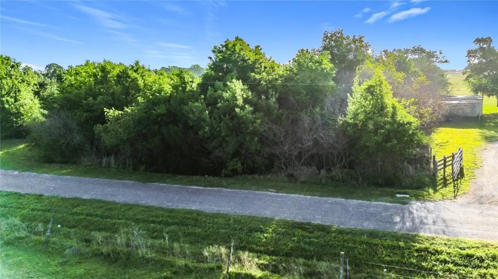 Picture 11