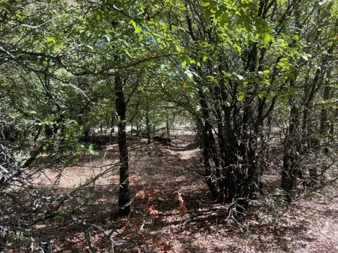 Scenic Hunting Land in Loving