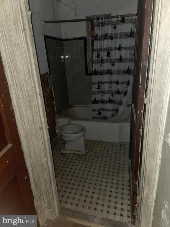 Picture 14