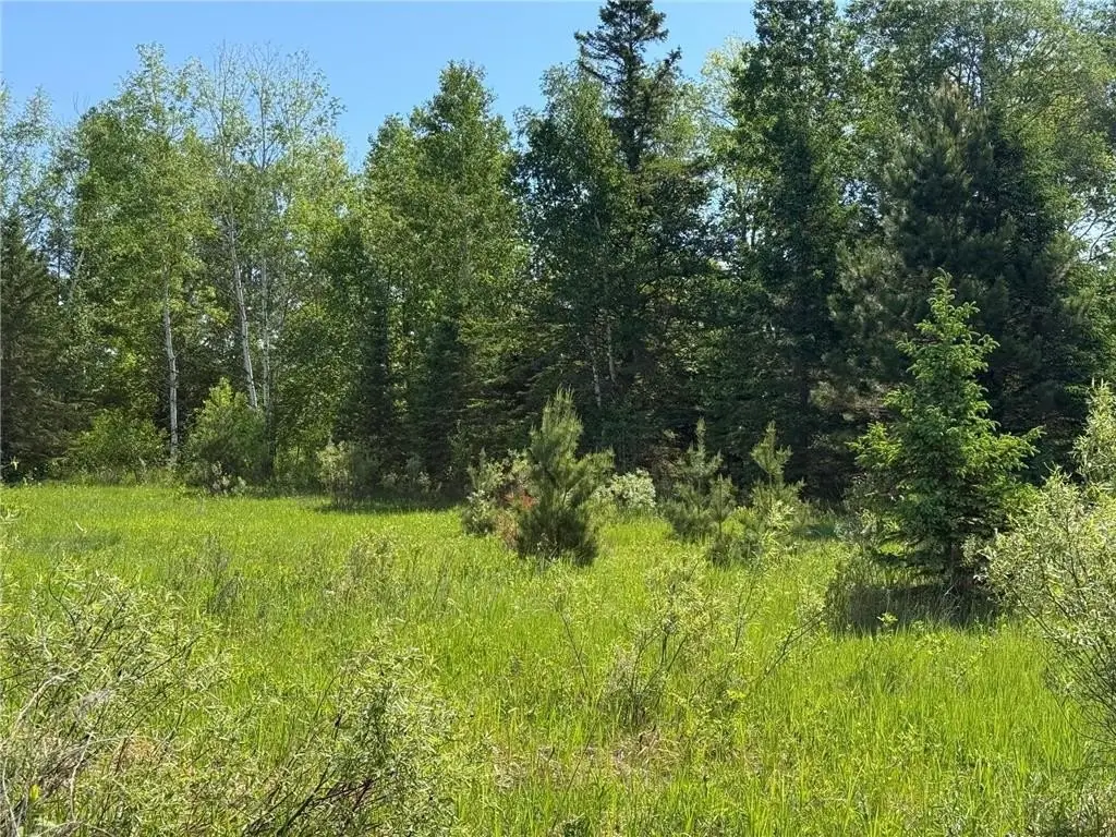 Picture 27