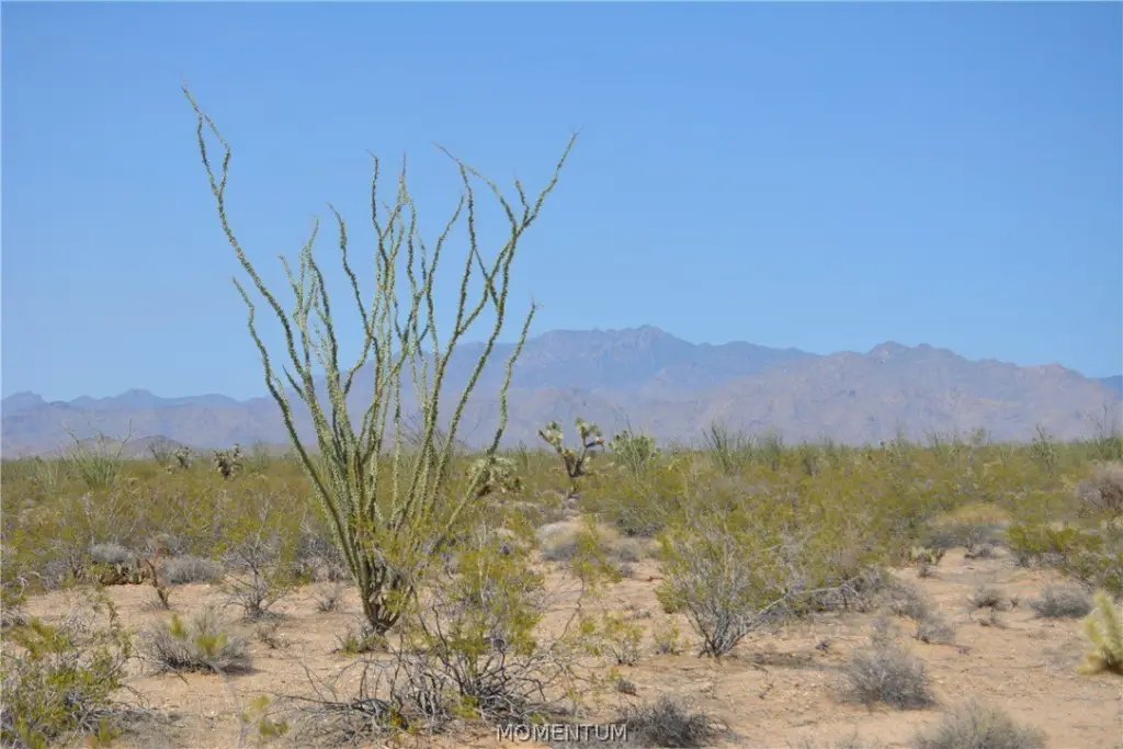 Picture 23