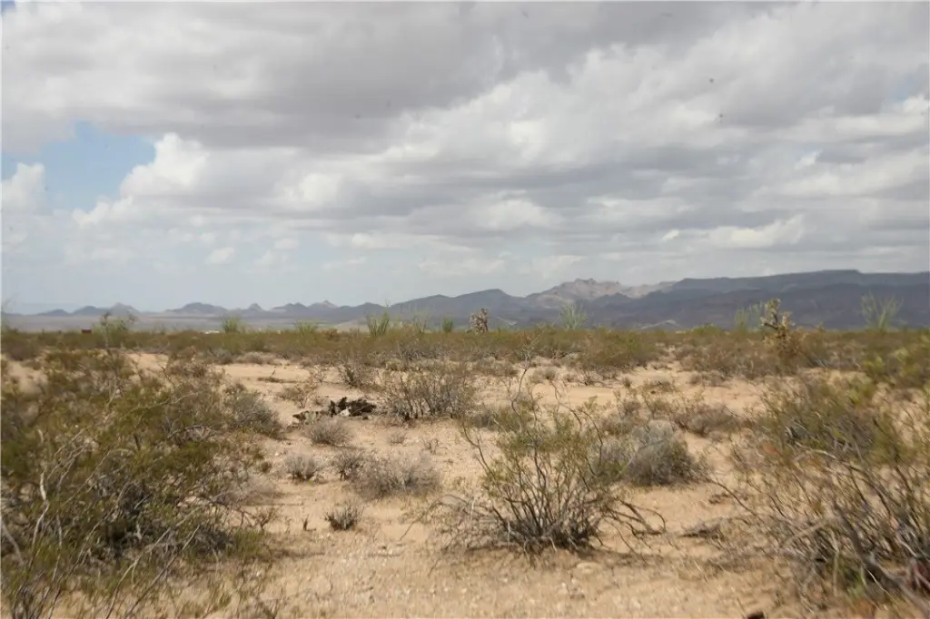 Picture 9