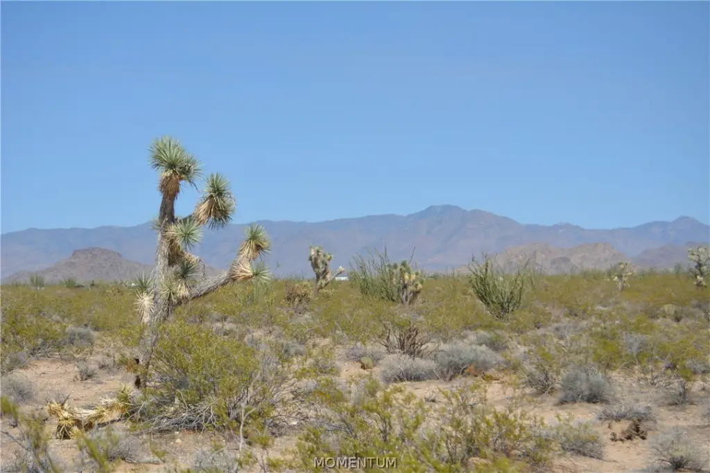 Picture 21