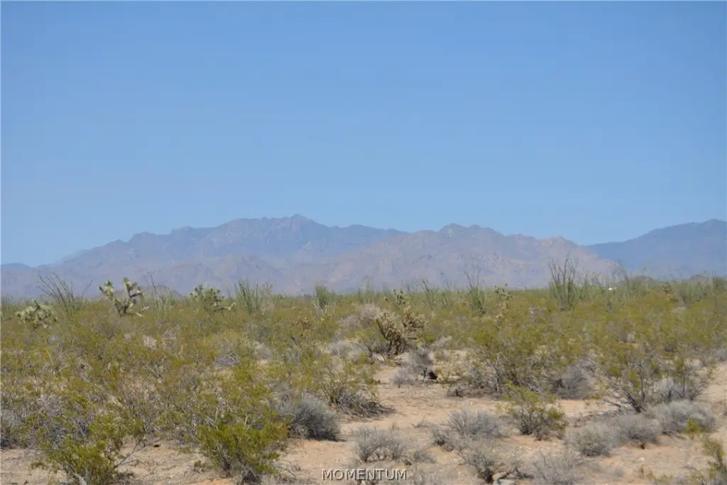 Picture 24