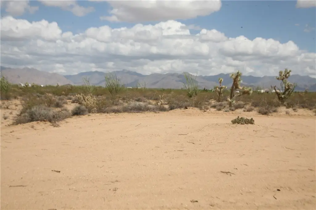 Picture 5