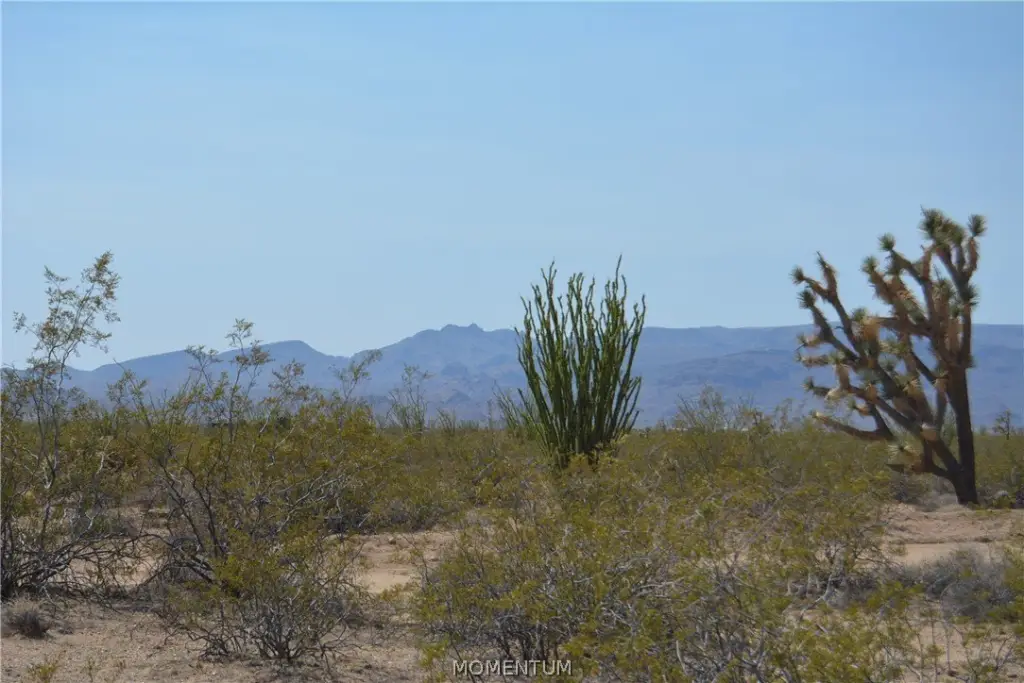 Picture 32