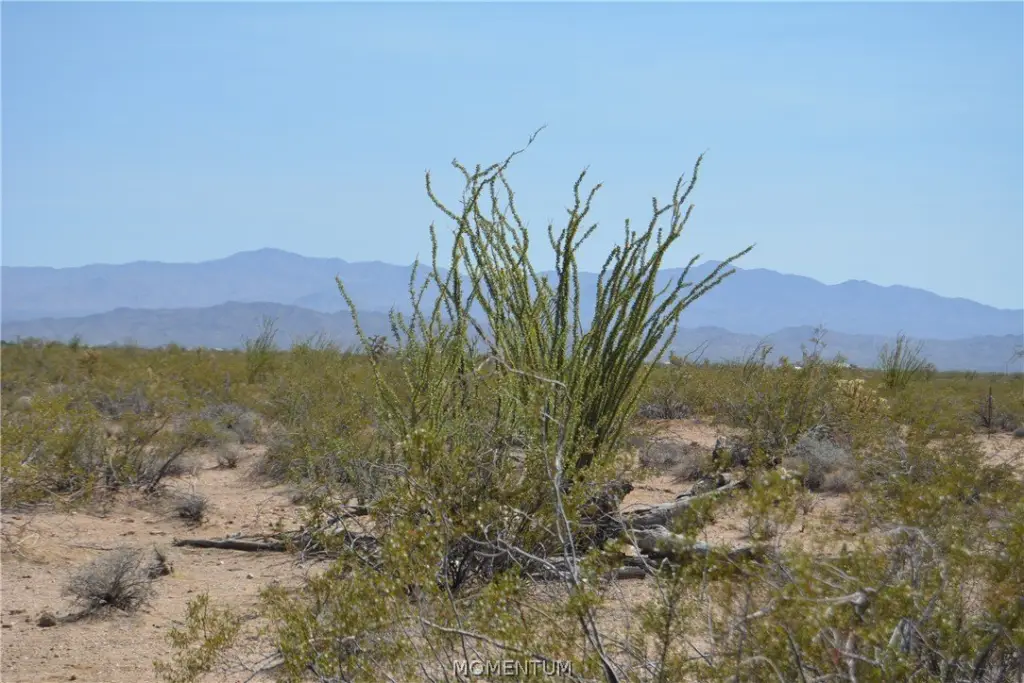 Picture 28
