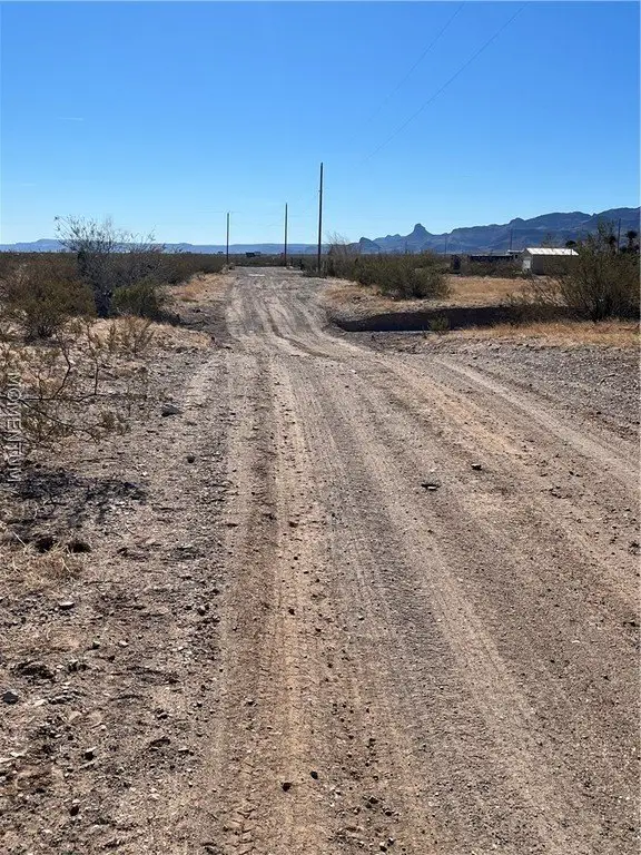 Picture 24