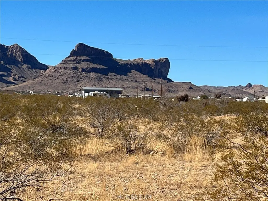 Picture 8