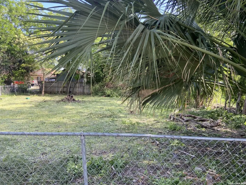 Picture 4