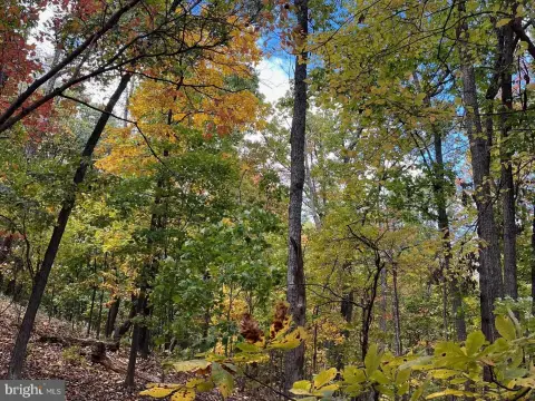 Residential Lot with Mountain Views