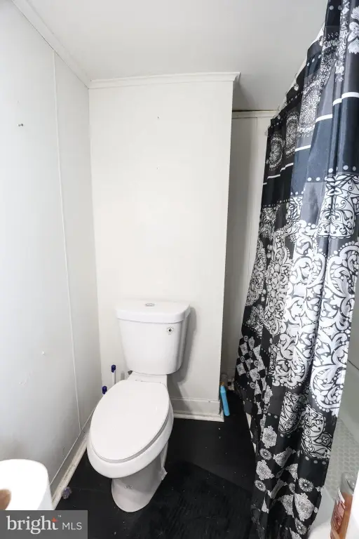 Picture 24