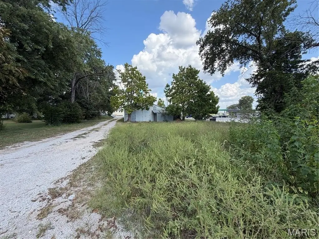Picture 21